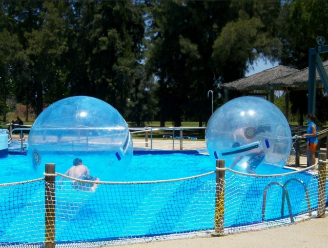 Bolas de zorbing en la piscina